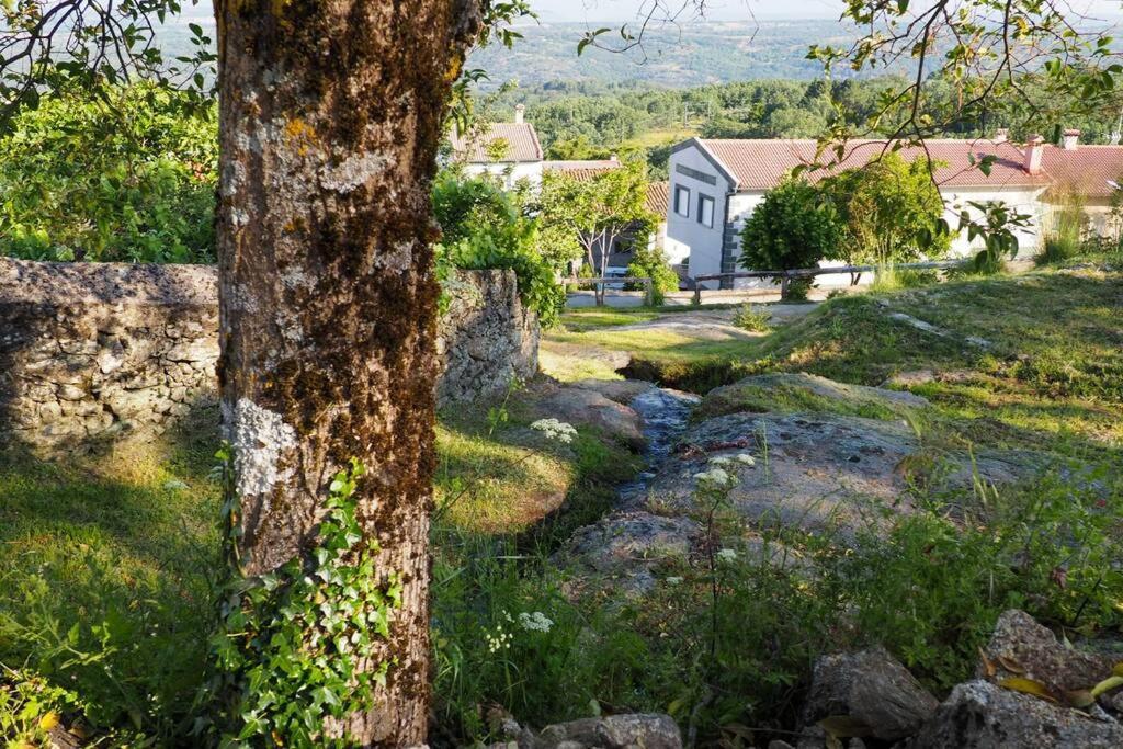 El Bosque De Los Romanos Apartment Puerto de Bejar Exterior photo